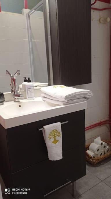 Studio 18 Residence Du Parc Châtel-Guyon Extérieur photo